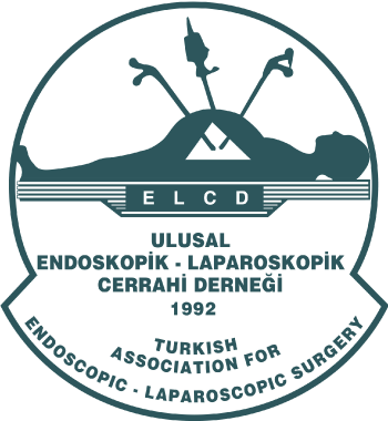 Ulusal Endeskopik Laparoskopik Cerrahi Derneği
